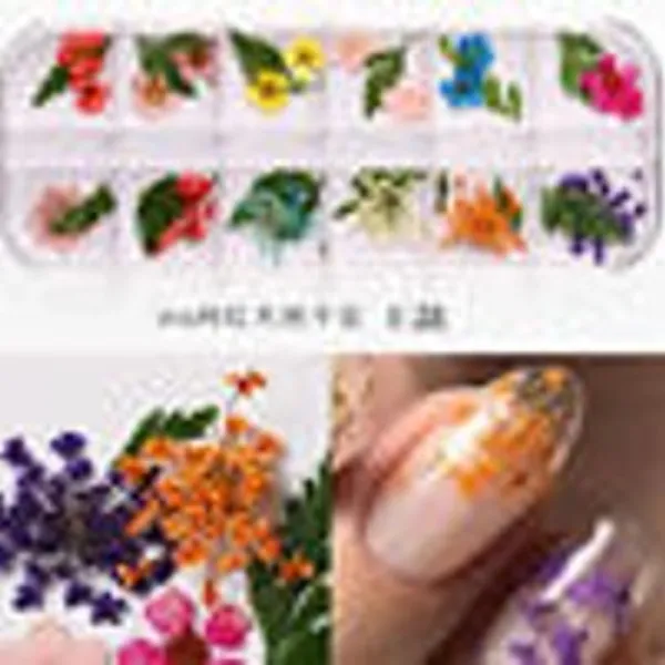 Caja de Flores secas 12 colores E