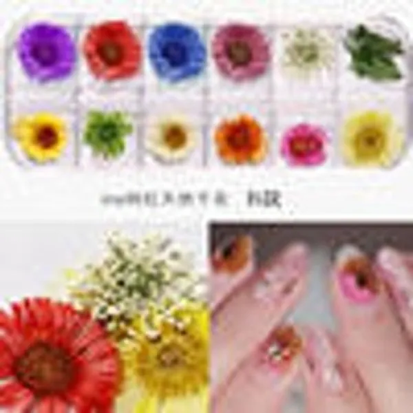 Caja de Flores secas 12 colores B