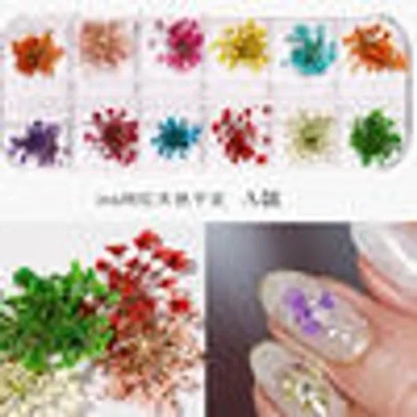 Caja de Flores secas 12 colores A