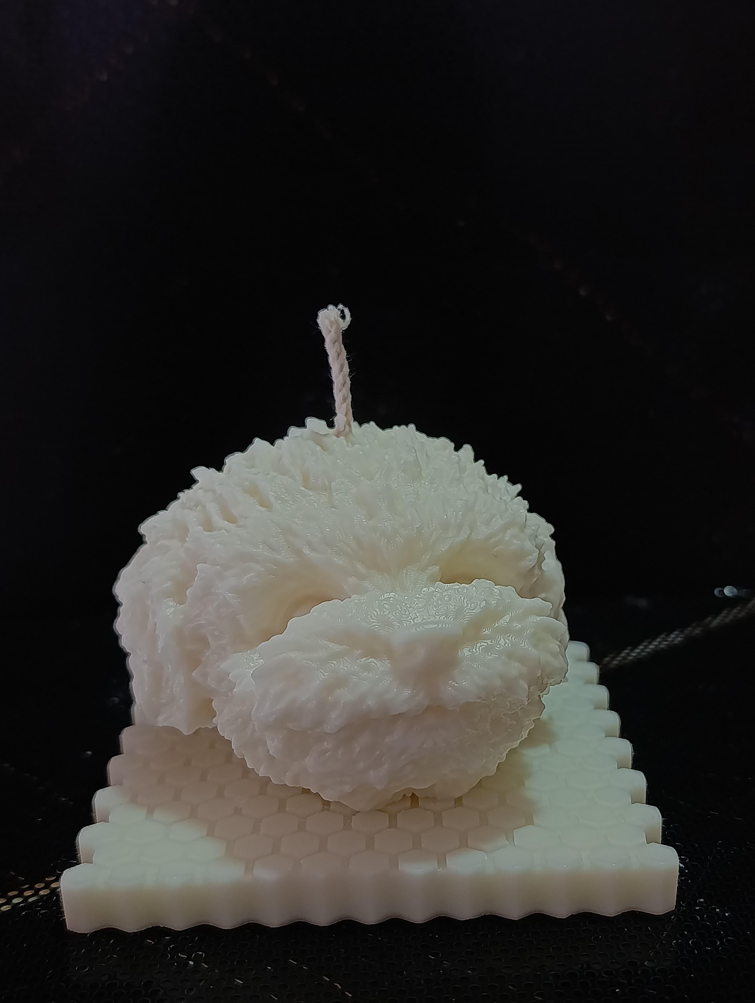 VELA CABEZA DE PERRITO 2