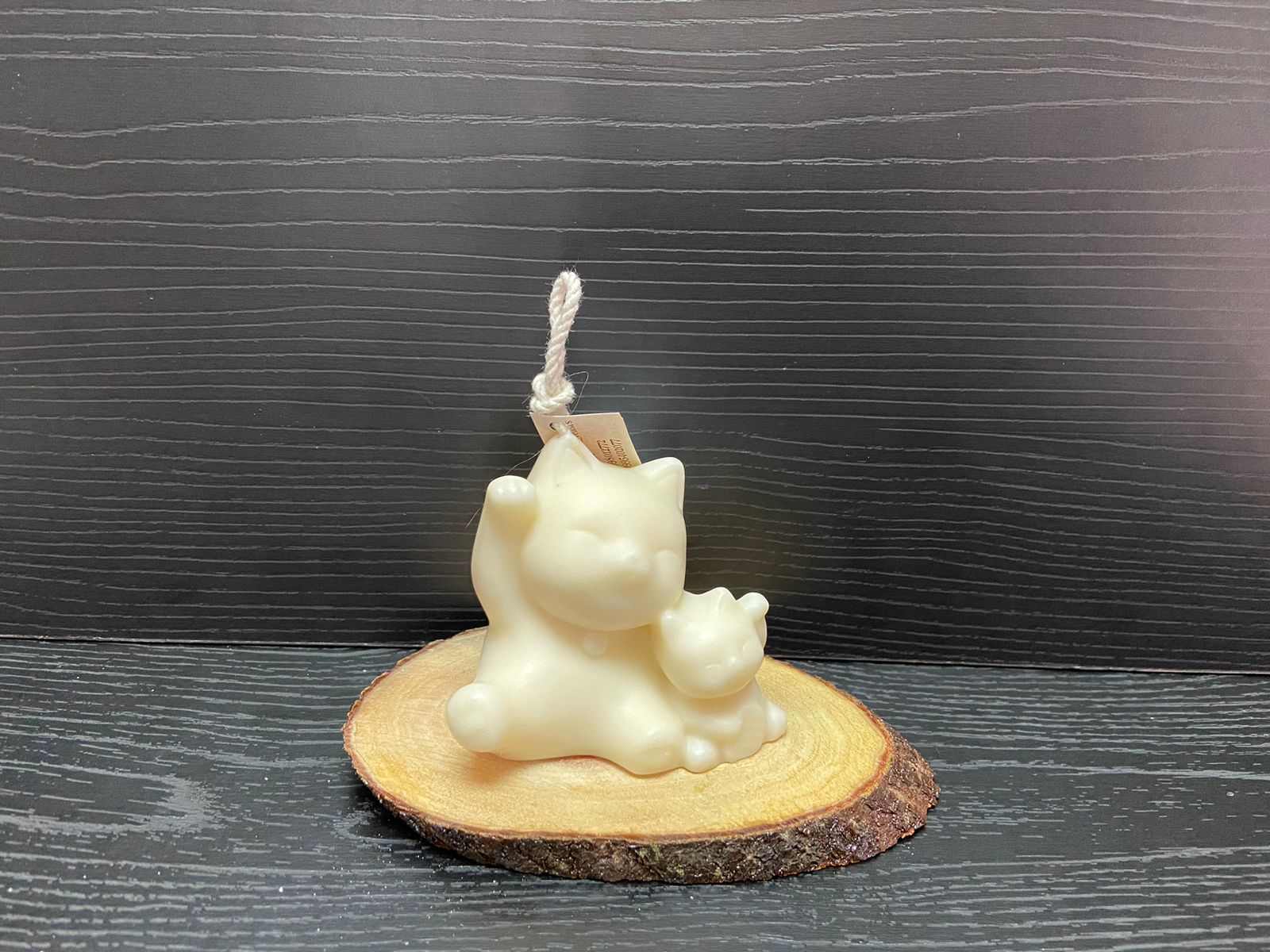 VELA GATO DE LA FORTUNA CON HIJO 272