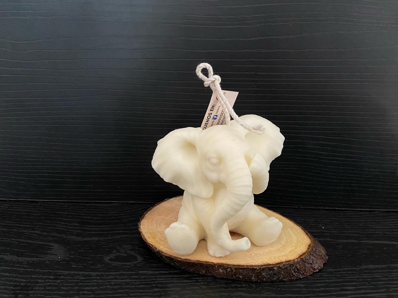 VELA ELEFANTE NO VER