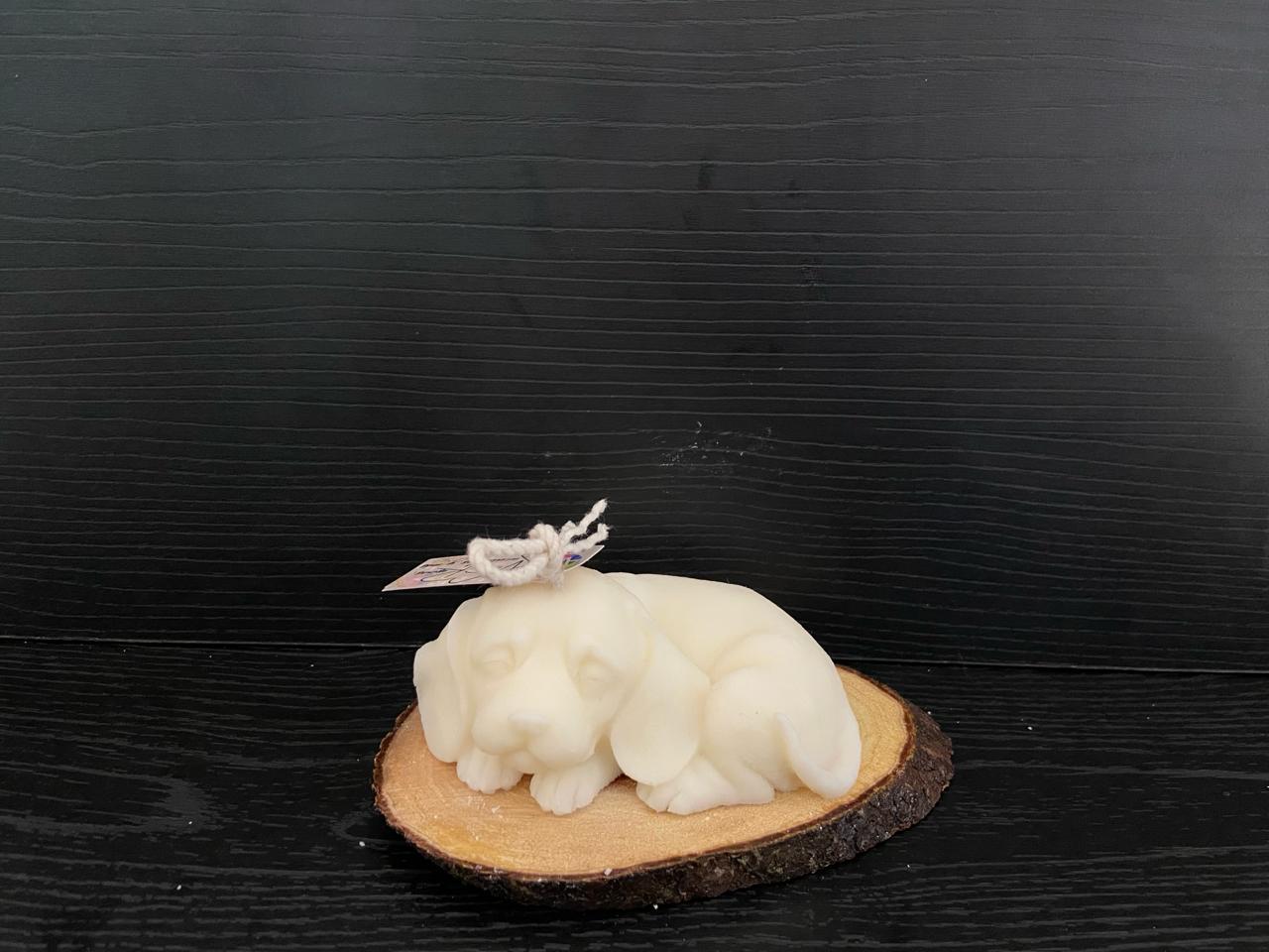 VELA PERRO ACOSTADO OREJAS