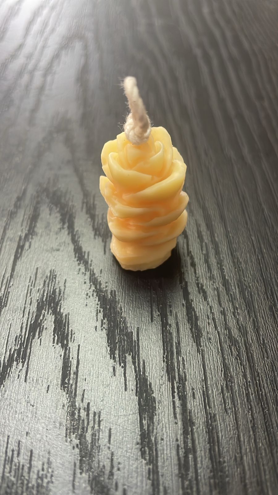 SUCULENTA MINI ALARGADA