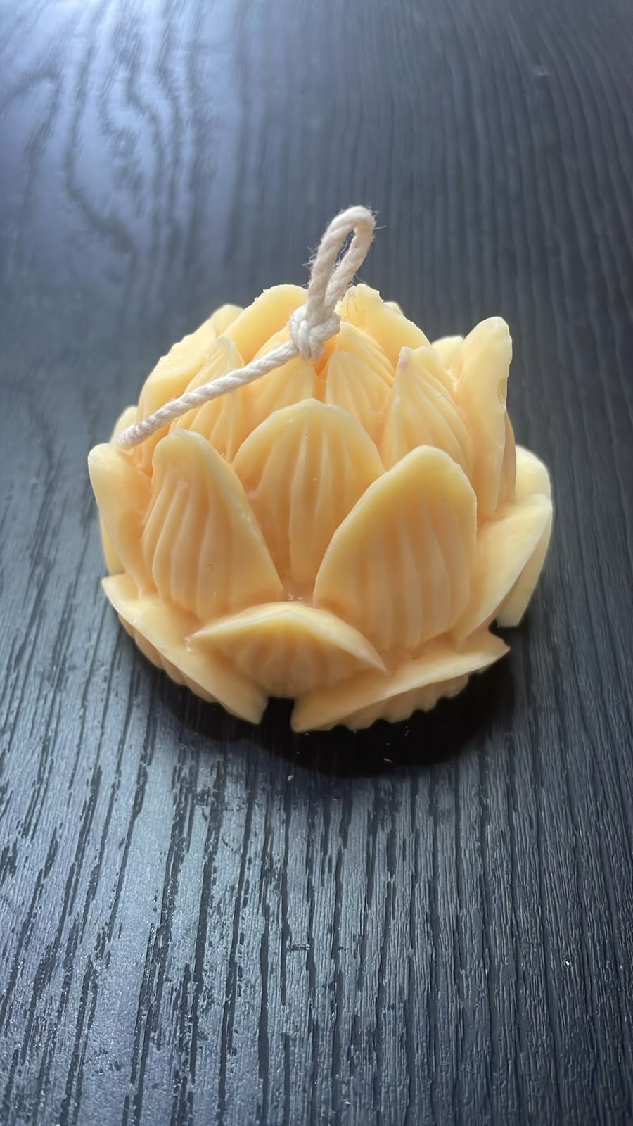 FLOR DE LOTO CERRADA