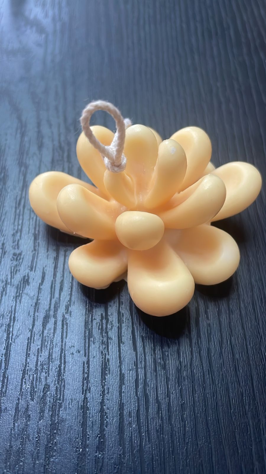 VELA SUCULENTA PEQUEÑA