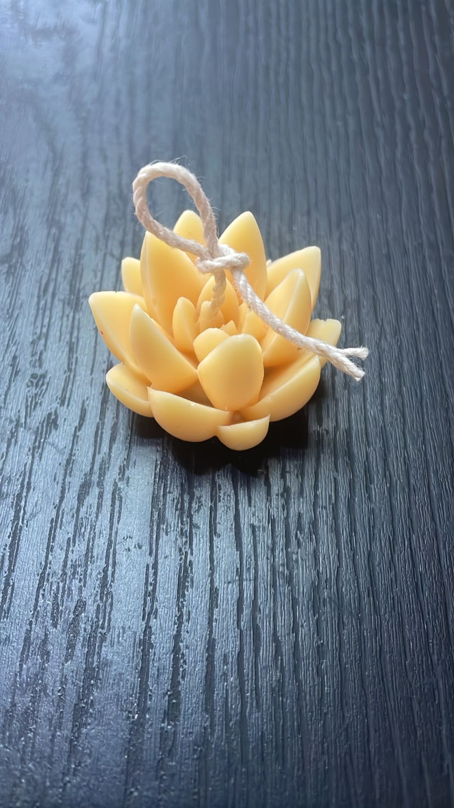 VELA SUCULENTA PUNTAS PEQUEÑA