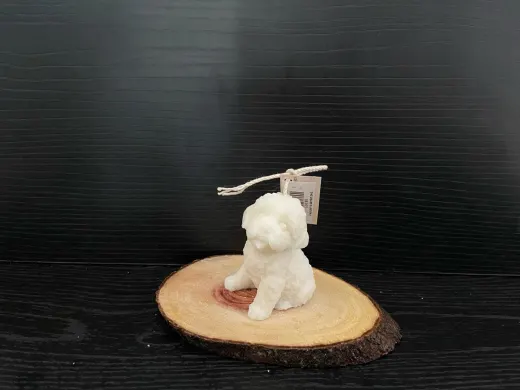 VELA PERRO 2025 miniatura 2